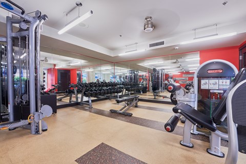 a gym with weights and cardio machines and a red wall